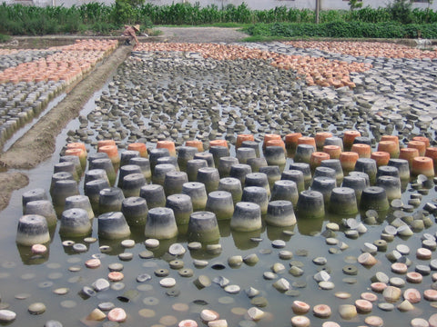 terracotta pots in moss field 