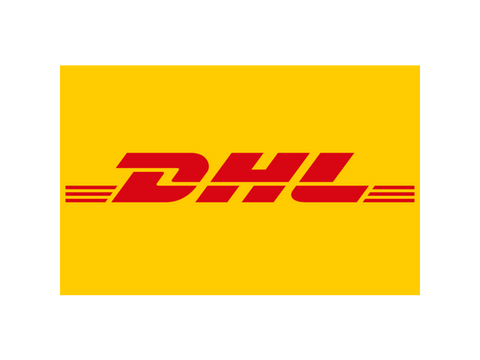 DHL Upgrade ( 3 to 10 days shipping )*