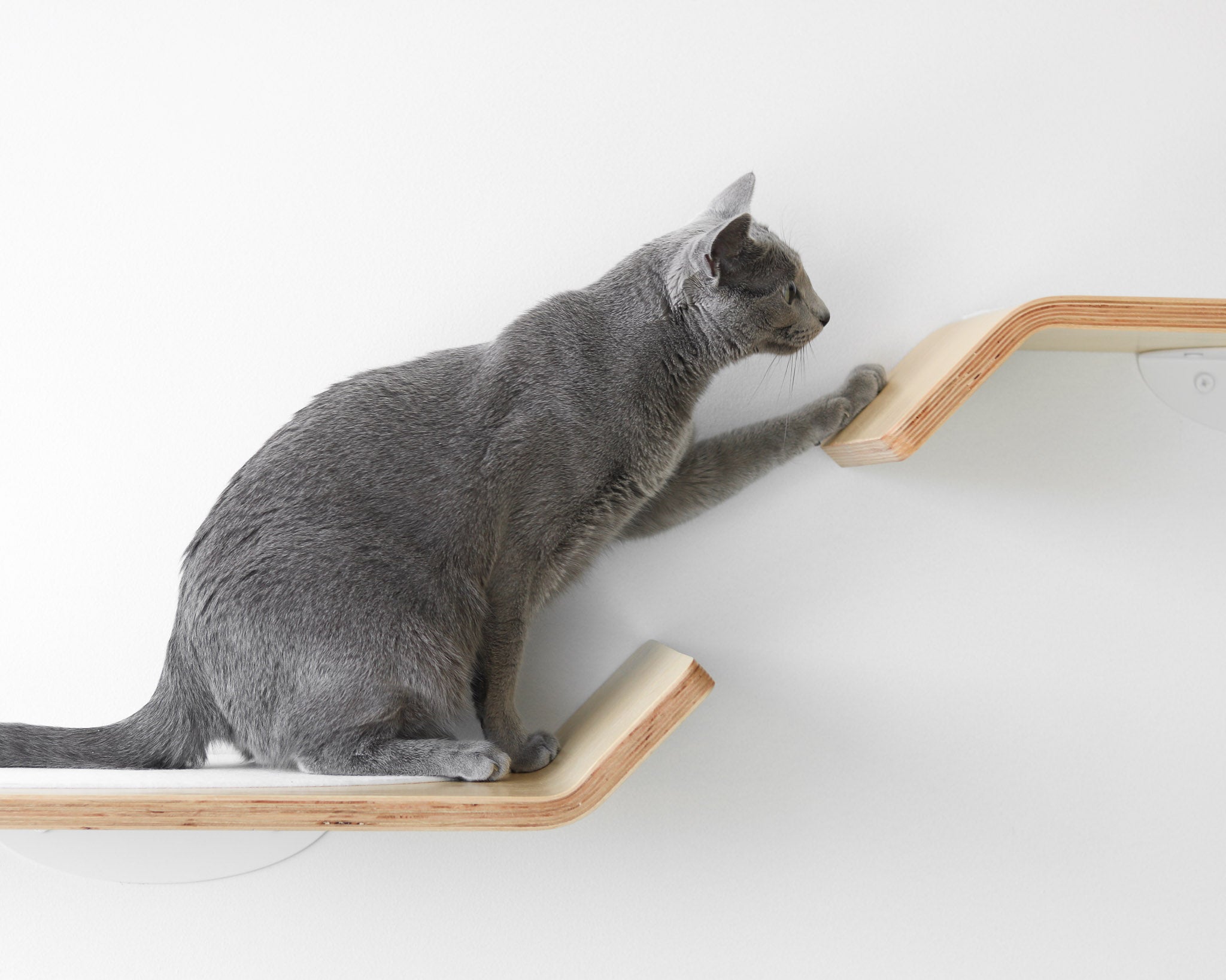 Figo Cat Shelf Set