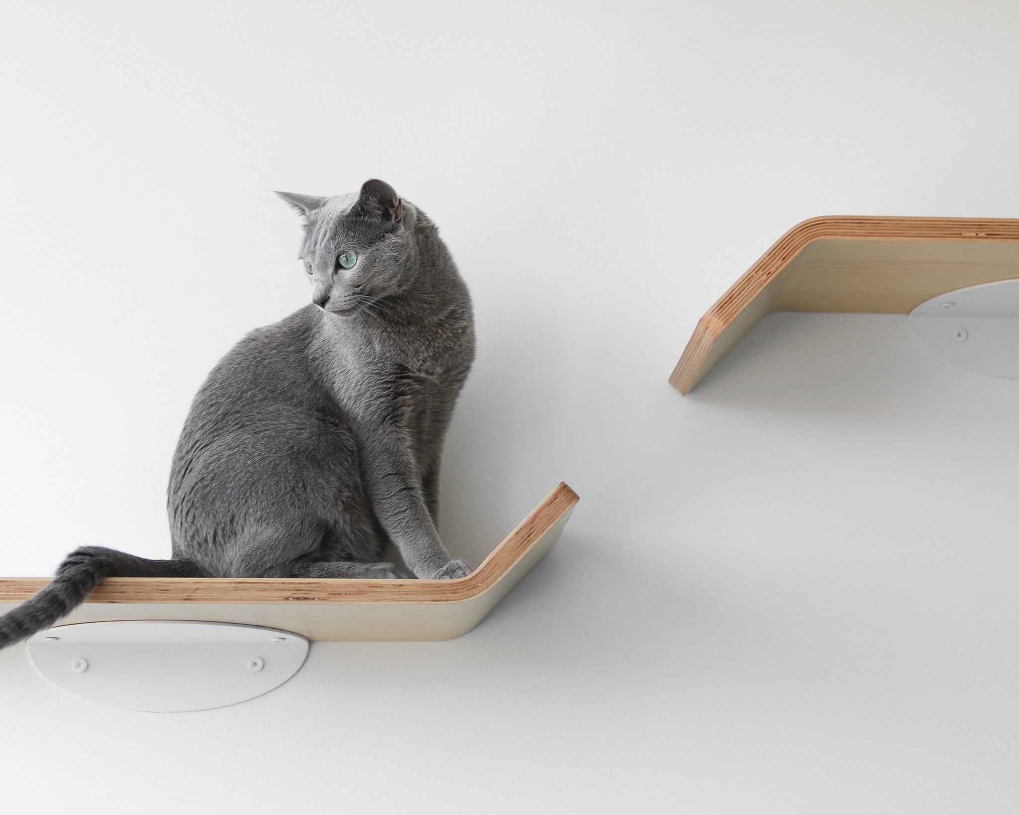Figo Cat Shelf Set