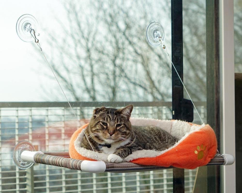 Kitty Cot window cat perch Amazon