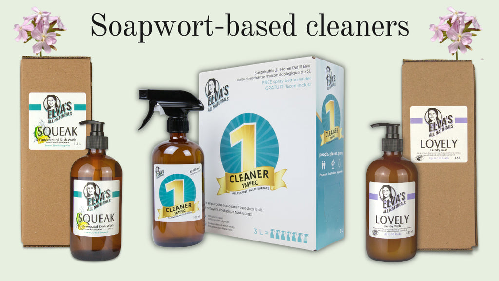 Soapwort-based cleaners by Elva's All Naturals