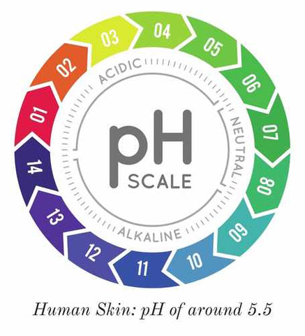 The pH scale and pH of Human Skin