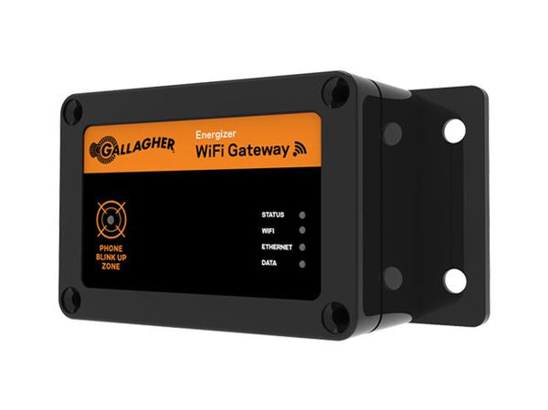 Что такое wifi gateway