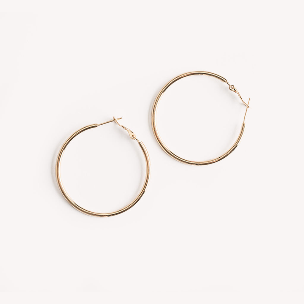 Pure Titanium Earrings | Hoop Earrings | Simply Whispers