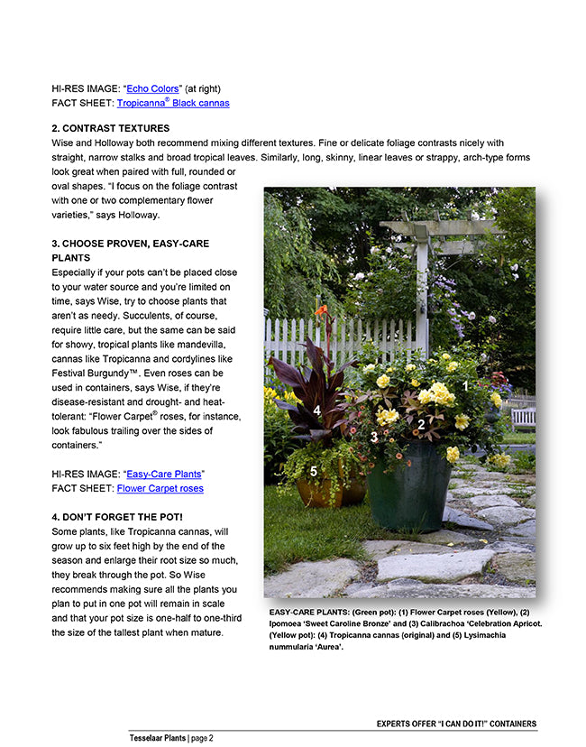 Create your own planter