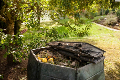 photo of a compost bin with the lid open and compost in it. it is in a green garden under a shady tree
