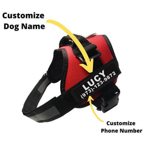 The Personal No Pull Dog Harness