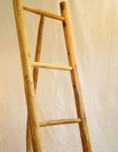 pop Beroemdheid financiën Fair & Fine - Decoratieve ladder Sanur - NADUVI