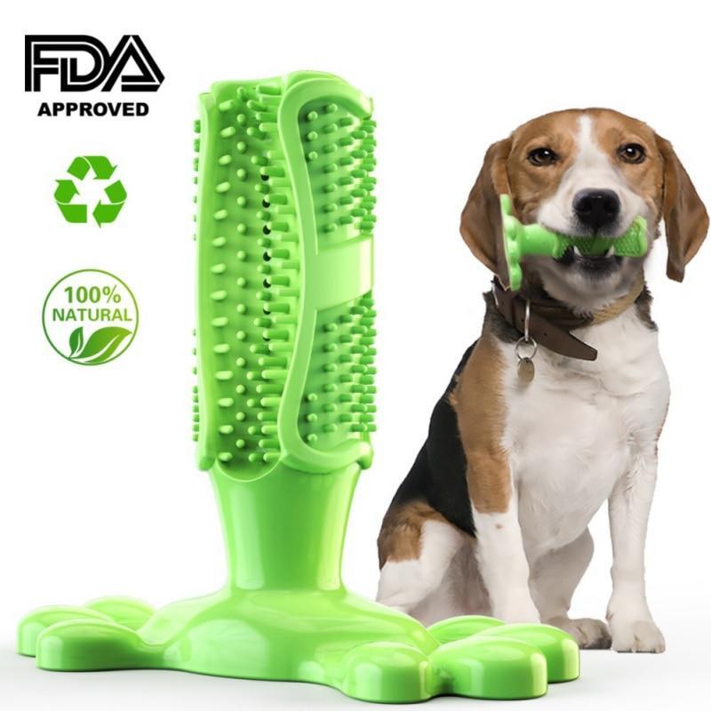 dog toothbrush chew