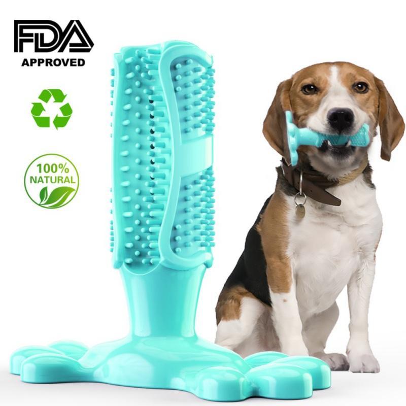 dog toothbrush chew toy