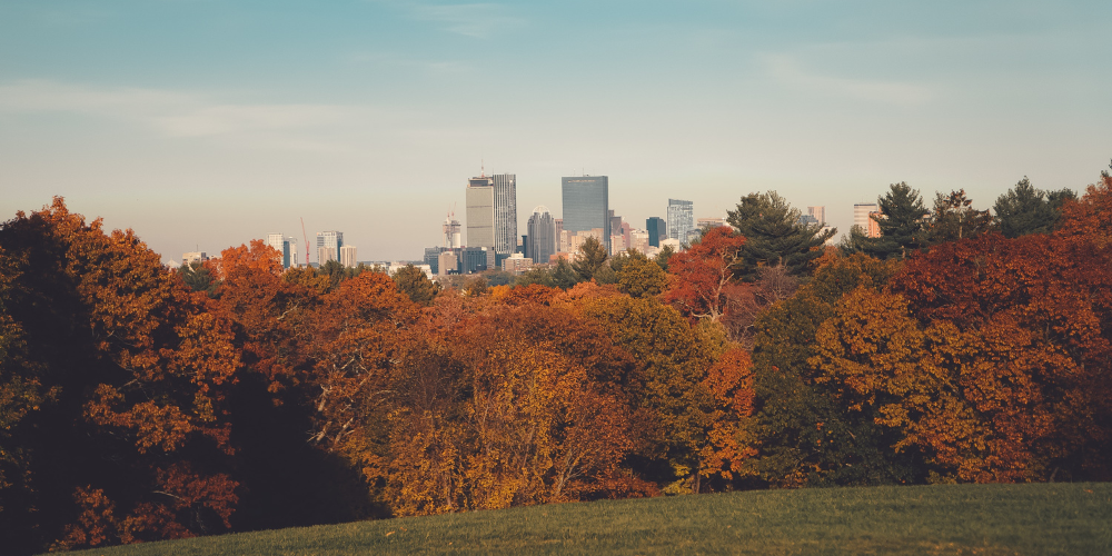 Fall Foliage