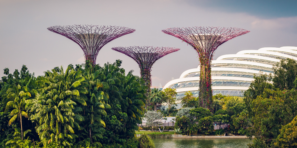 THE ULTIMATE GUIDE TO SINGAPORE