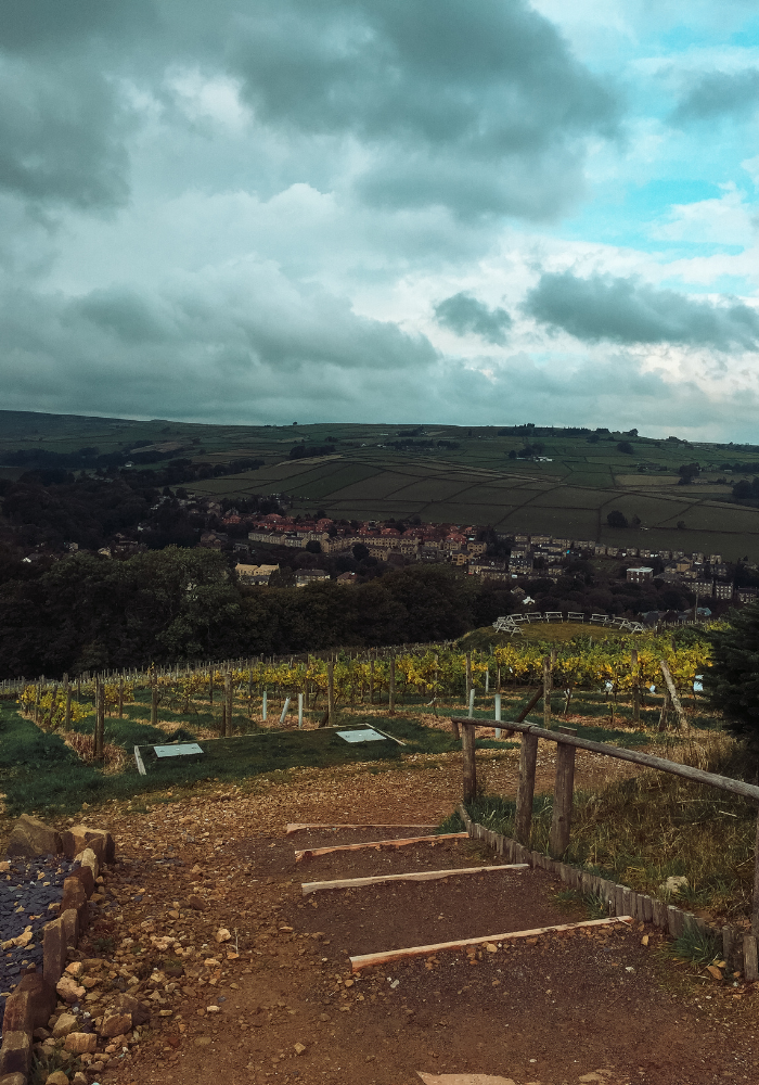 Holmfirth Vineyard