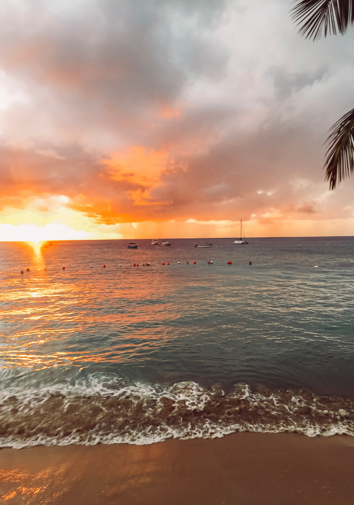 The Ultimate Guide to Barbados