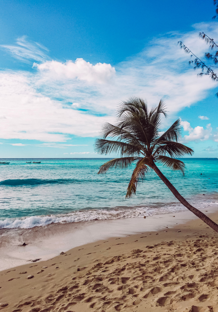 The Ultimate Guide to Barbados