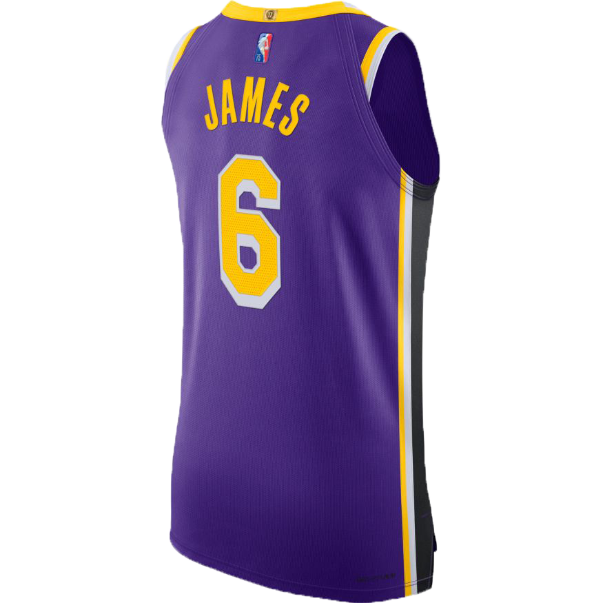 Lebron James 2022-23 Los Angeles Lakers NBA Nike Authentic Jersey Size 44+2