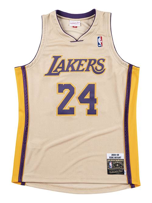mitchell and ness lebron lakers