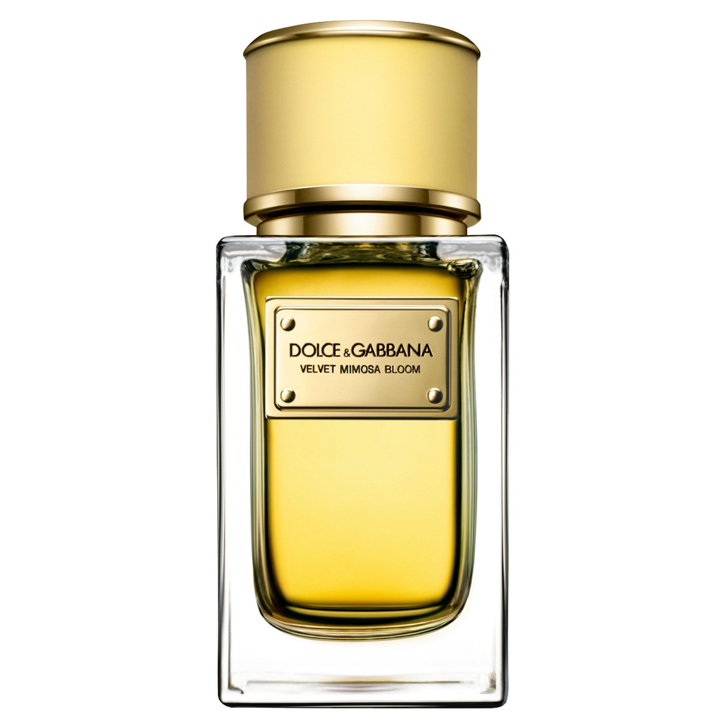 Velvet Mimosa Bloom by Dolce & Gabbana 50ml EDP | Perfume NZ