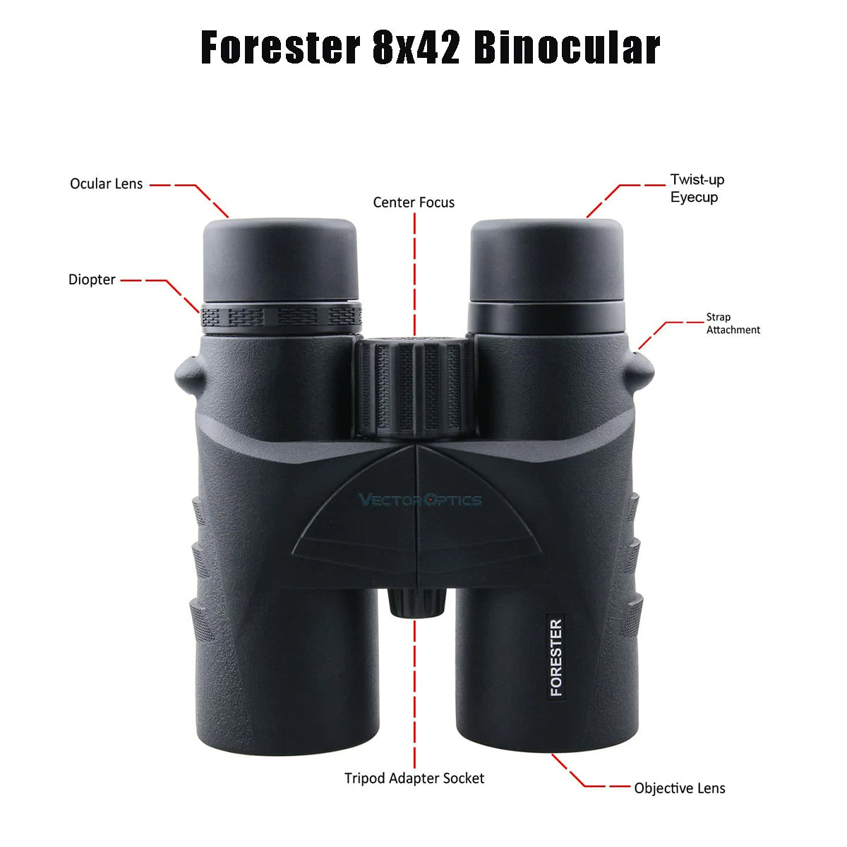 Forester 8x42 Binocular dimension