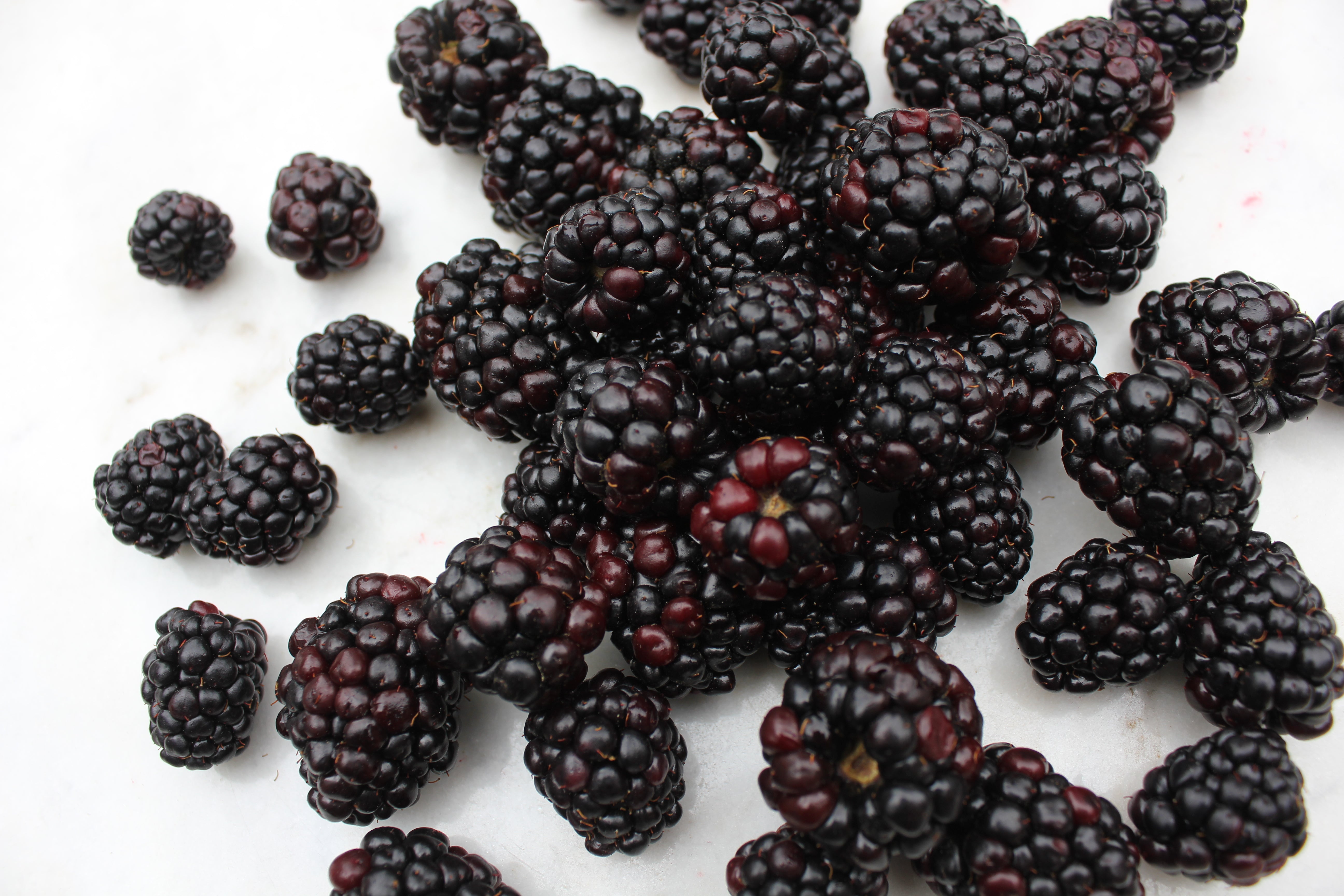 Blackberries