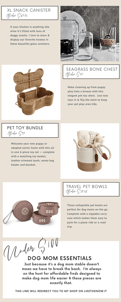 The perfect dog mom gift ideas for under $100