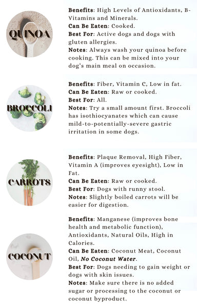 Treat your dog to these yummy snacks