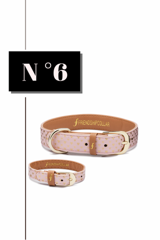 Puppy Love Dog Collar and Bracelet Set from FriendshipCollar