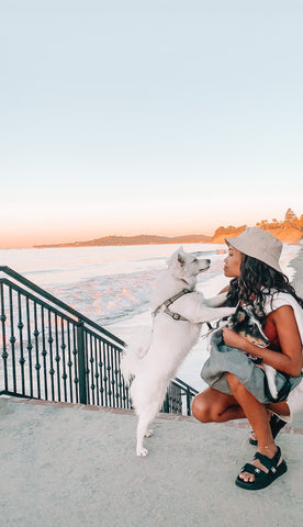 Dog moms know traveling with your dog is rewarding.  See these dog friendly day trips in Arizona, Texas, and California