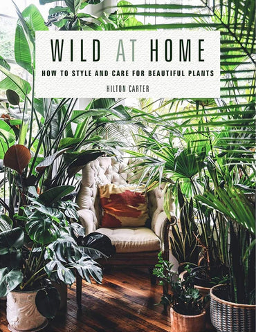 Wild At Home How To Style By Hilton Carter Amazon Finds Best Seller