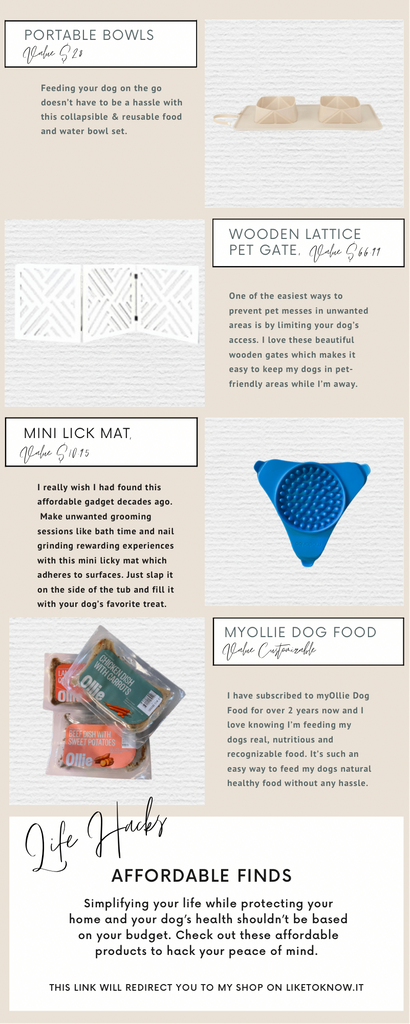 Affordable life hack gadgets and products every dog mom should know to keep a clean home and a healthy pup.