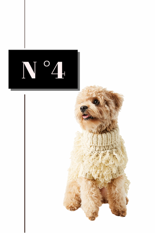 Max Bone Curly Sweater Dog Gift Guide 
