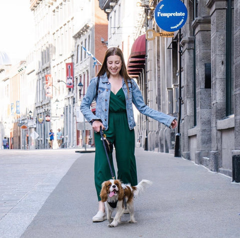 Dog-momager and social media manager Cara strolling the streets of Montreal with Henry The Smol.