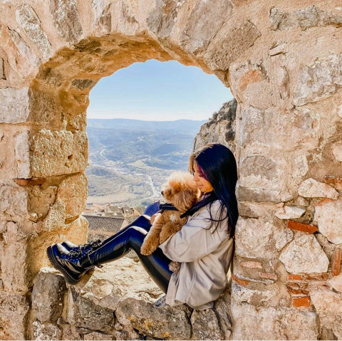 Learn how to visit exotic places like Pompeii, Tuscany and The Amalfi Coast with your dog