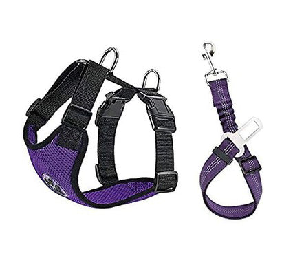 Dog harnesses and seatbelts are essential safety equipment for traveling by car.