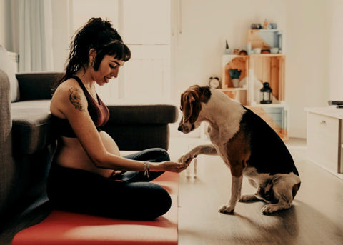 Just because a woman calls herself a dog mom doesn’t mean she hates kids or doesn’t want children of her own. Image Description: An expecting mother sits on the floor with her dog while holding his paw.