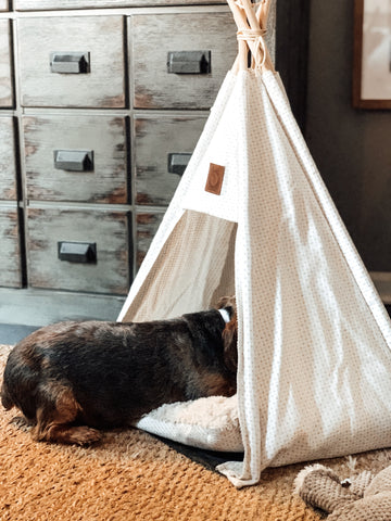 The Pickle & Polly Dog Tent Bed