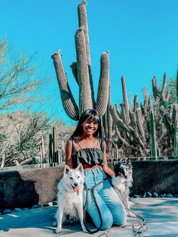 Visit sunny Phoenix Arizona with us to see what day trips dog moms can enjoy with their pets.