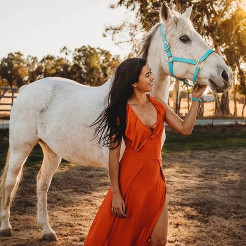 FriendshipCollar features matching halters for your Equine BFFs too!