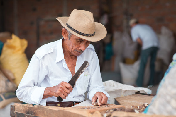 Local artisan harvested and cutton Corozo nuts