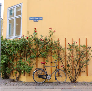 自転車大国、北欧デンマークの通勤通学スタイル