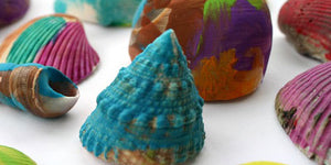 Seashell Painting