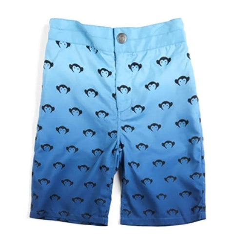 Boys Swim Trunks by Appaman