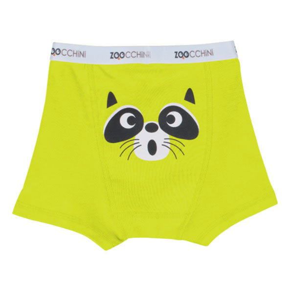 Little Boys Organic Animal Faces Boxers by Zoocchini