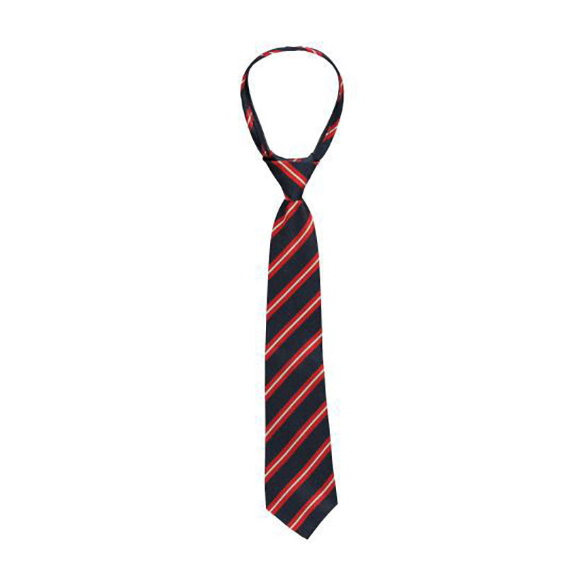 Little Boys Zipper Necktie by Kitestrings