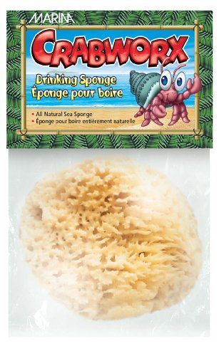 Fluker's Natural Sea Sponge for Hermit Crabs