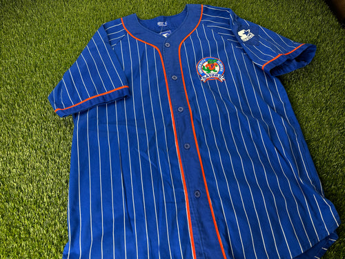 Sweet 1992 baseball jersey from Goodwill : r/FloridaGators