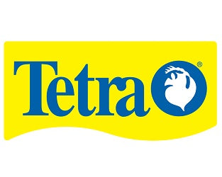 tetra fish