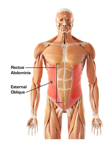 MONOPKT Best Climbing Core Workout