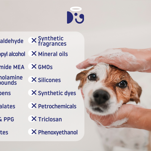 is propylene glycol safe for dogs